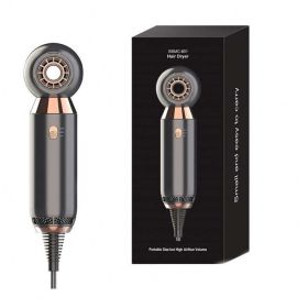 Leafless Hair Dryer 800w Fan 2 Speed Electric Negative Ionic Blower Portable Hair Dressing Dryer Salon 2 Gears Best Gift (Plug: US plug)